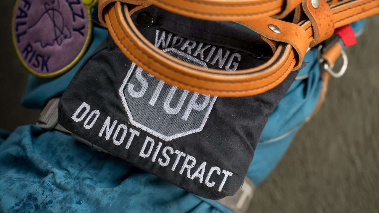 default-12 A service dog harness that says "working. stop. Do not distract."